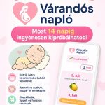 Újdonság a BabaHolmiPontnál: megérkezett a Várandós Napló! 💕